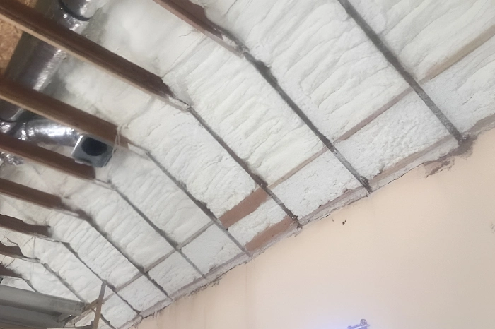 Spray Foam Insulation Spray Foam Insulation